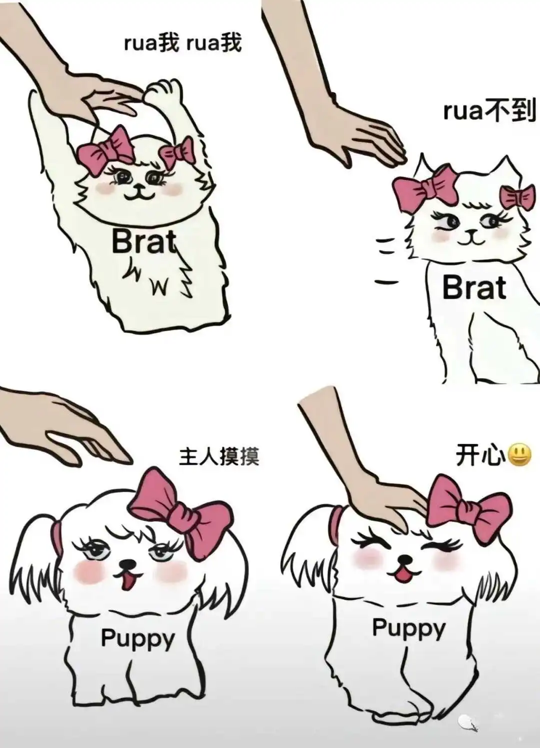 西檬之家恋足癖是什么?你对这种独特属性了解多少? 一