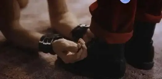 西檬之家k8猫系是什么？你的BDSM个性与猫咪特质有何关联？ 一