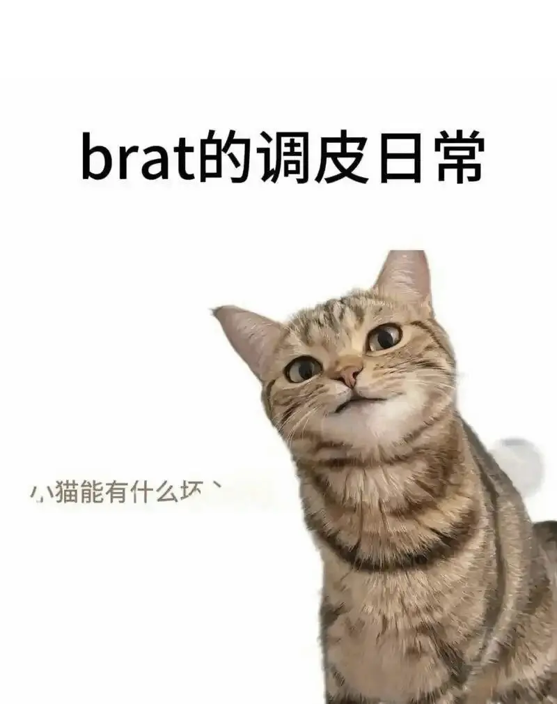 西檬之家BDSM新人入门指南 一