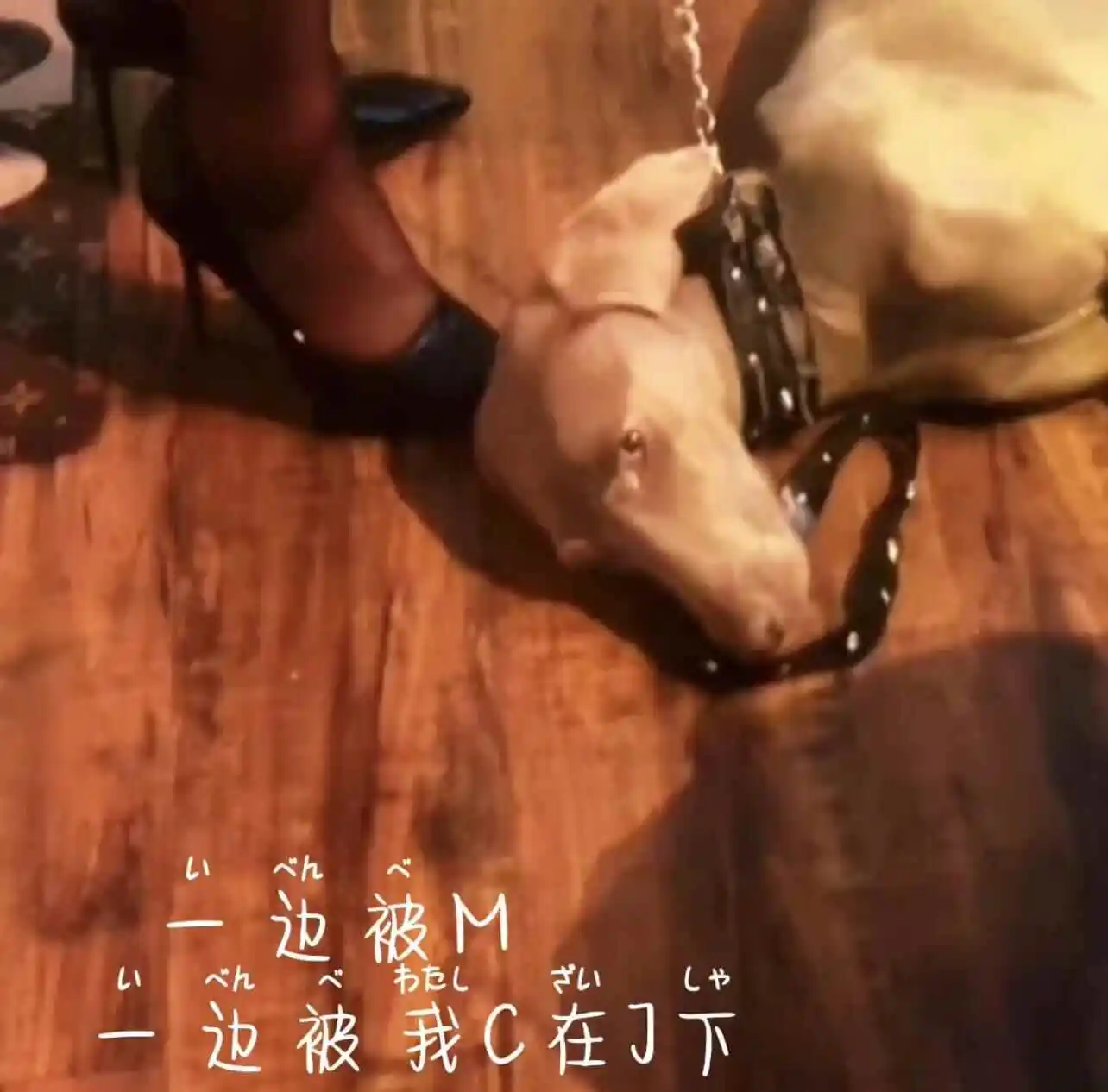 西檬之家字母圈的k8是什么? 一