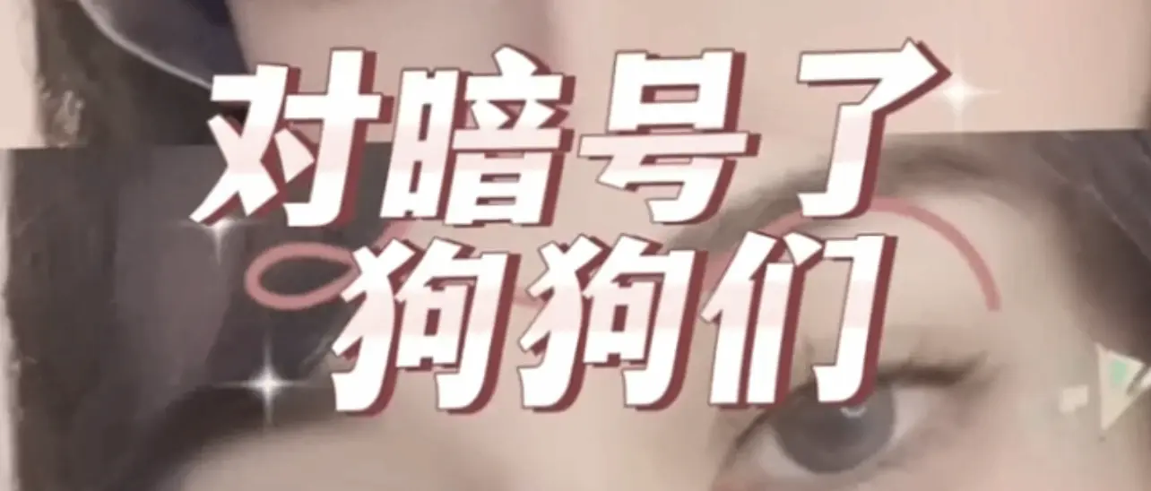 西檬之家TS是什么意思？字母圈新人入圈 一