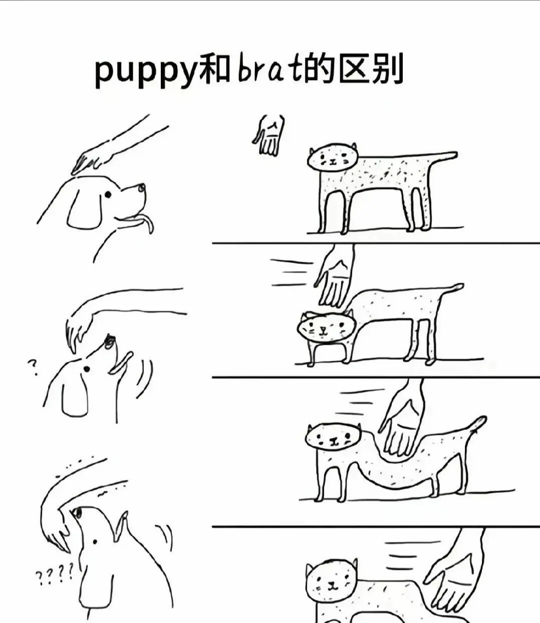 西檬之家字母圈Sp是什么意思？ 一