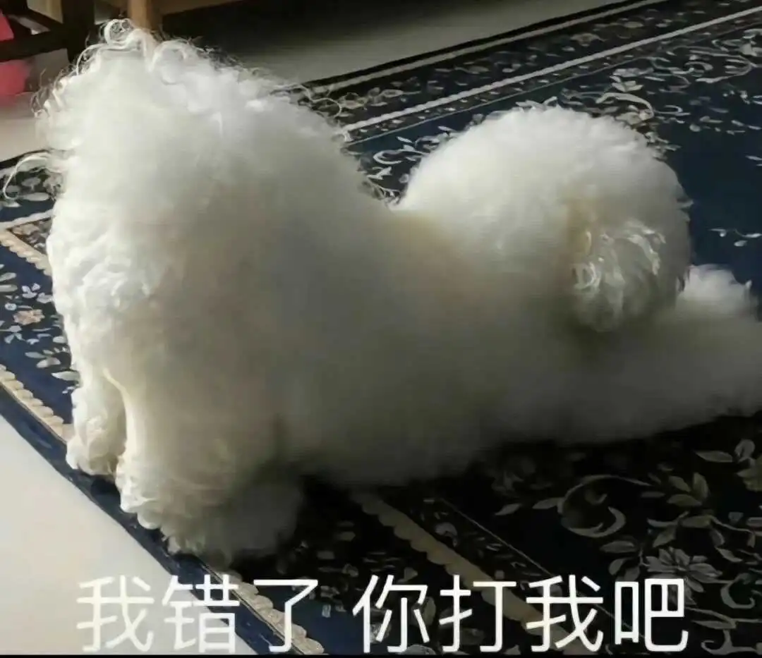 西檬之家sub是什么？你的字母圈属性是什么 一