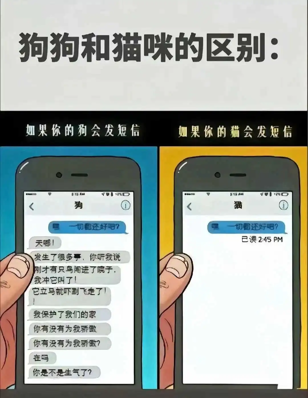 西檬之家Ds关系是什么?你的角色定位是什么? 一